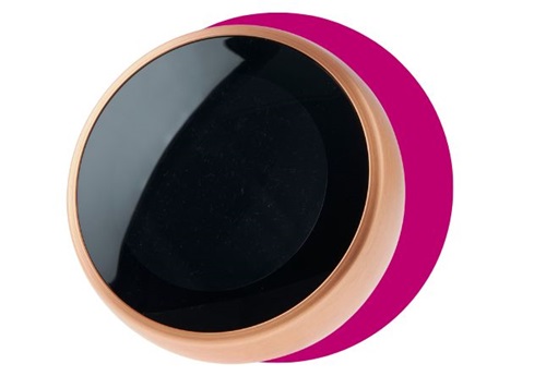 Gestion des données par l’application du Google Nest Learning Thermostat